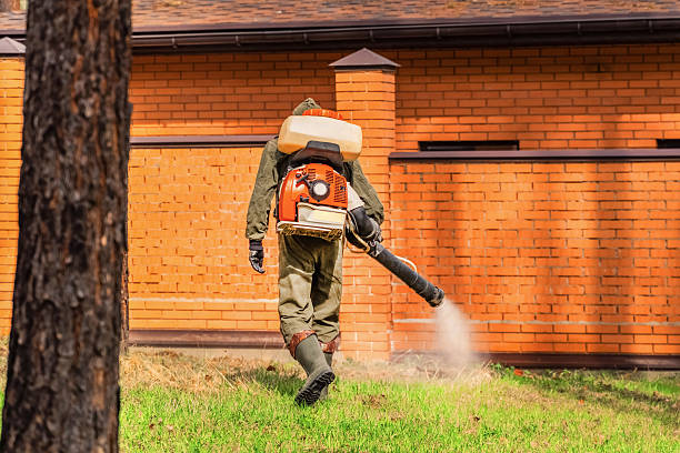 Trusted Bed Bug Control service in Kings Mills, OH - Nex Pest Control